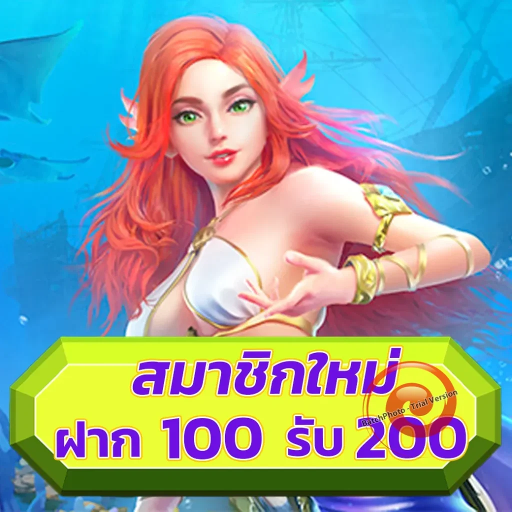 vong ka สมัครฟรี